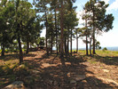 photo thumbnail #6
