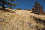 photo thumbnail #7