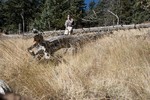 photo thumbnail #11