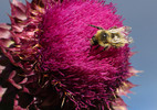 photo thumbnail #4
