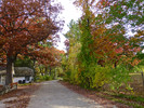 photo thumbnail #13