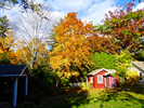 photo thumbnail #15