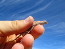 photo thumbnail #6
