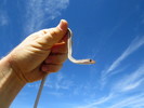 photo thumbnail #8