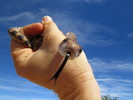 photo thumbnail #5