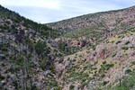 photo thumbnail #8