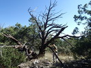 photo thumbnail #14