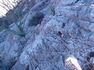 photo thumbnail #14