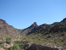 photo thumbnail #15