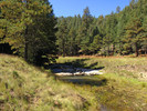 photo thumbnail #10