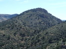 photo thumbnail #7