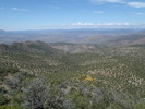 photo thumbnail #15