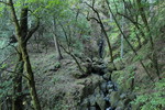 photo thumbnail #14