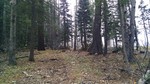 photo thumbnail #7
