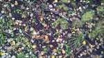 photo thumbnail #12