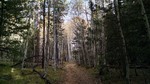 photo thumbnail #6