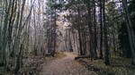 photo thumbnail #8