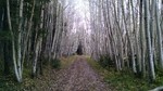 photo thumbnail #10