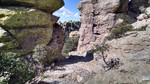 photo thumbnail #5