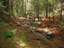 photo thumbnail #7