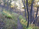 photo thumbnail #5