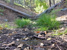 photo thumbnail #7