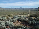 photo thumbnail #6