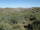 photo thumbnail #4