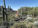photo thumbnail #15