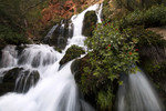 photo thumbnail #9