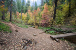 photo thumbnail #4