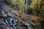 photo thumbnail #5