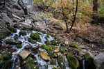photo thumbnail #7