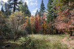 photo thumbnail #10