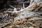 photo thumbnail #11