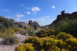 photo thumbnail #6
