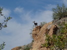 photo thumbnail #14