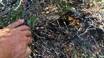 photo thumbnail #14