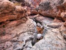 photo thumbnail #14