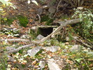 photo thumbnail #10