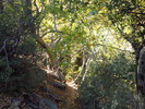 photo thumbnail #12
