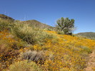 photo thumbnail #14