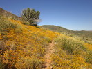 photo thumbnail #15
