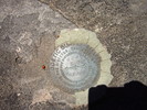 photo thumbnail #12