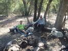 photo thumbnail #3