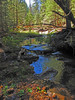 photo thumbnail #11
