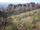 photo thumbnail #9