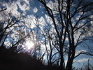 photo thumbnail #10