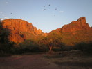 photo thumbnail #15