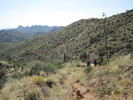 photo thumbnail #3